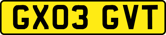 GX03GVT