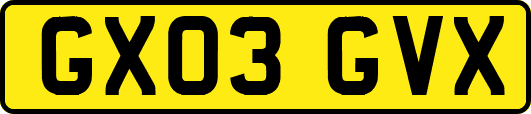 GX03GVX