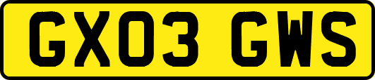 GX03GWS