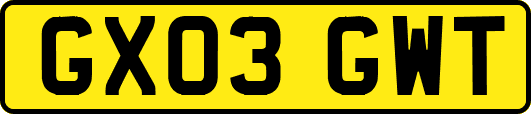 GX03GWT
