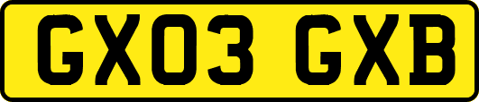 GX03GXB