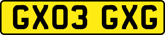 GX03GXG