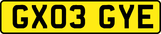 GX03GYE