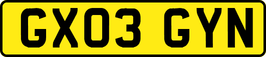 GX03GYN