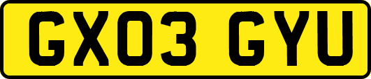GX03GYU