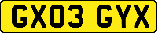 GX03GYX
