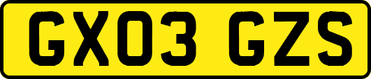 GX03GZS