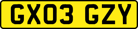 GX03GZY