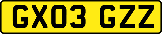 GX03GZZ