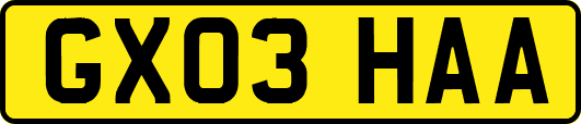 GX03HAA