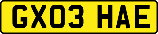 GX03HAE