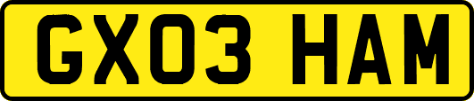 GX03HAM