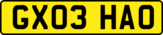 GX03HAO
