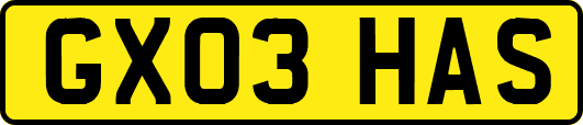 GX03HAS