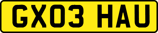 GX03HAU