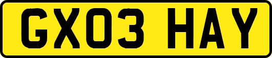 GX03HAY