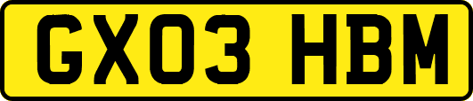 GX03HBM