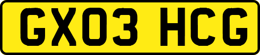 GX03HCG
