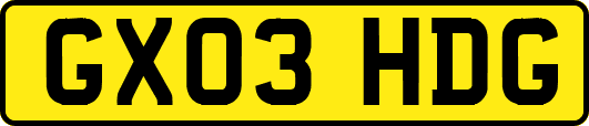 GX03HDG