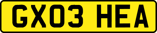 GX03HEA