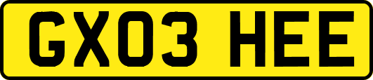 GX03HEE