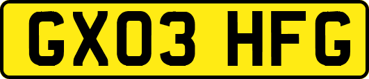 GX03HFG