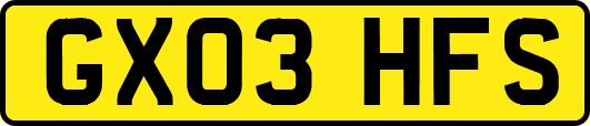 GX03HFS