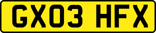 GX03HFX