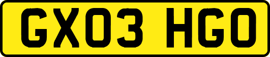 GX03HGO