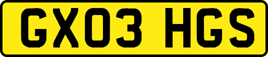 GX03HGS