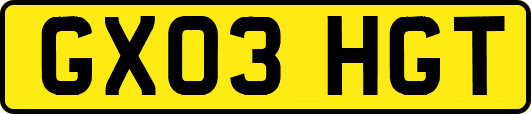 GX03HGT