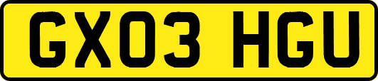 GX03HGU