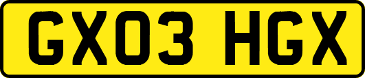 GX03HGX