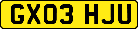 GX03HJU