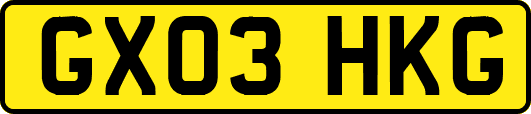 GX03HKG
