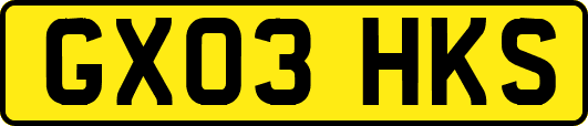 GX03HKS