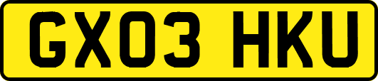 GX03HKU