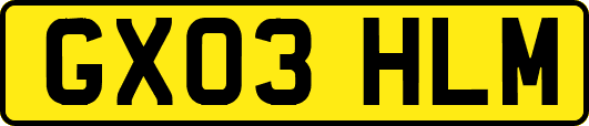 GX03HLM