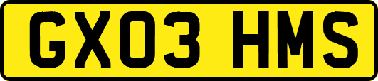 GX03HMS