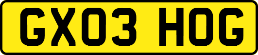 GX03HOG