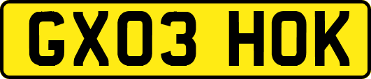 GX03HOK