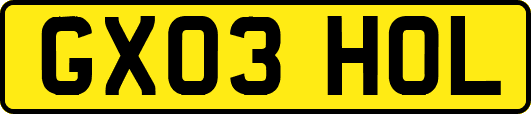 GX03HOL