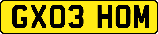 GX03HOM
