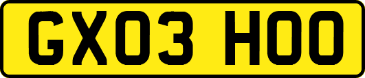 GX03HOO