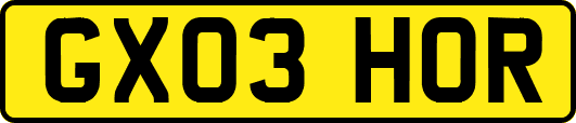 GX03HOR
