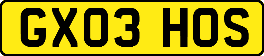 GX03HOS