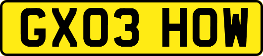 GX03HOW