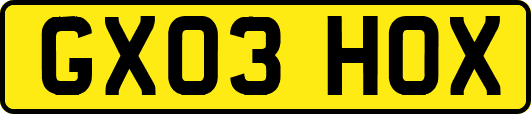 GX03HOX