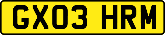 GX03HRM