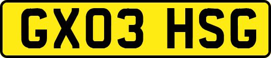 GX03HSG